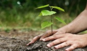 ضرورت مشارکت مردمی و حمایت‌های مالی و فنی کاشت یک میلیارد درخت