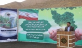 چهار میلیون بذر و نهال در استان مرکزی کاشته می شود