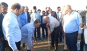 آغاز کاشت ۲۰۰ هکتار نهال در بندرعباس با حضور وزیر کشور