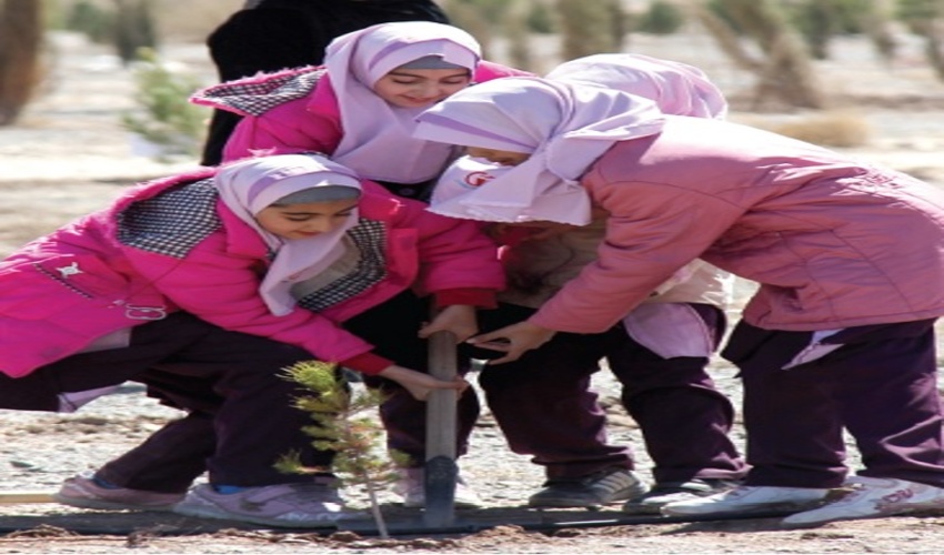 برگزاری جلسه هماهنگی ستاد مردمی کاشت یک میلیارد درخت در سازمان منابع طبیعی