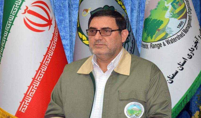 سمنان/ توزیع 900 هزار اصله نهال در استان سمنان در هفته منابع طبیعی