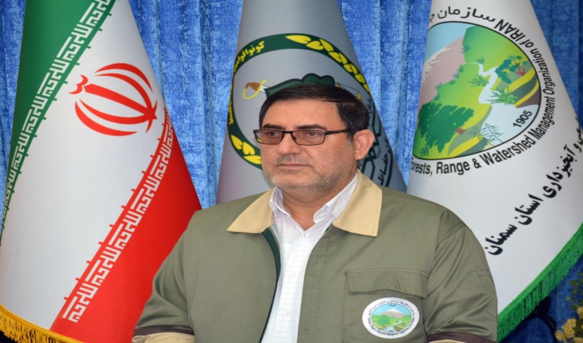 گیلان/ کاشت ۳۲ میلیون درخت در سایت های گردشگری گیلان