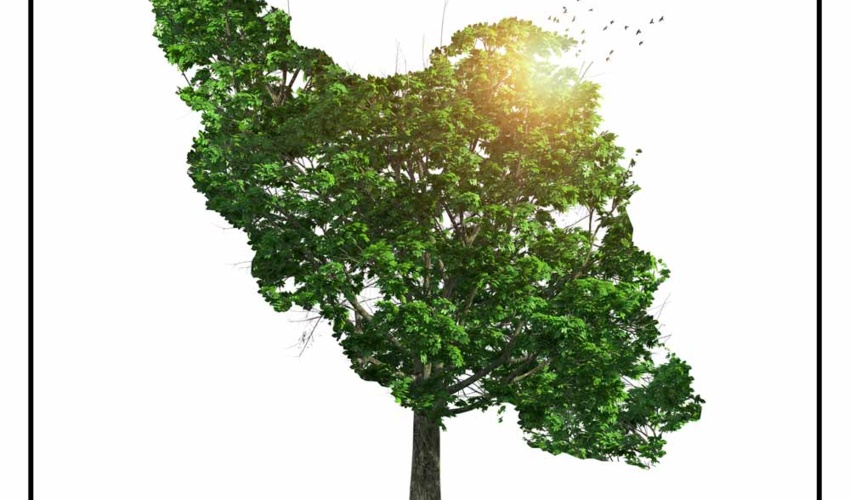 درخت برای زندگی، با هم بکاریم برای ایران سرسبز-ایران قوی