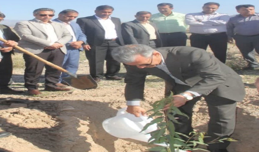  ۳٠ هزار اصله نهال جنگلی در روز درختکاری در جنوب کرمان غرس شد