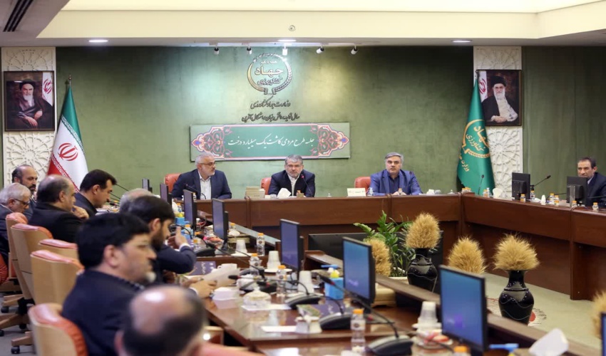 حمایت‌ رهبری پشتوانه اجرای طرح کاشت یک میلیارد درخت/ طرح کاشت یک میلیارد درخت به پروژه اصلی موسسه تحقیقات جنگل تبدیل شود