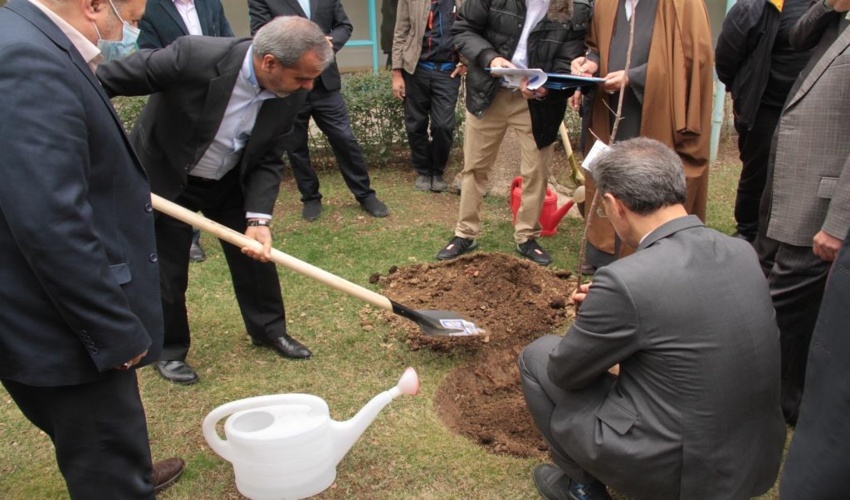 300 اصله نهال در سازمان مرکزی دانشگاه پیام نور کاشته شد