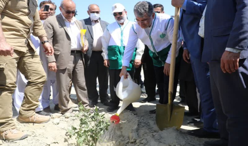 سهم ۱۴ میلیونی سیستان و بلوچستان در "ایران سرسبز؛ ایران قوی