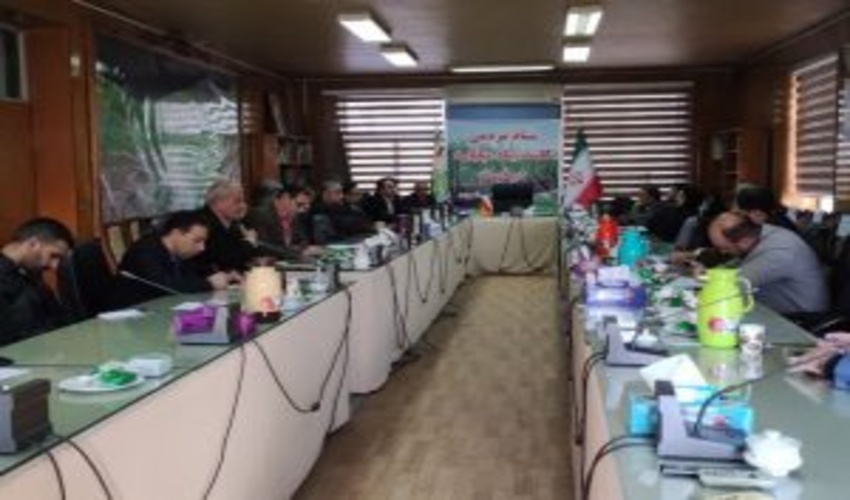 ساری/تولید 3 میلیون اصله نهال از ابتدای سال تا کنون در نهالستانهای اداره کل