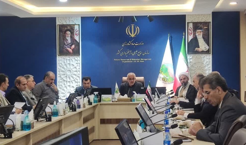 تاکید رییس سازمان منابع طبیعی به تشکیل جلسه مدیریت بحران جهت پیشگیری حریق در جنگل ها و مراتع