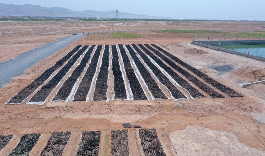 اجرای طرح مردمی کاشت یک میلیارد درخت در اصفهان نیازمند همکاری صنایع بزرگ استان است