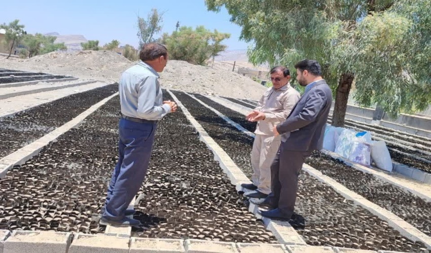 گام بزرگ شهرستان های کهگیلویه، لنده، چرام در طرح مردمی کاشت یک میلیارد درخت