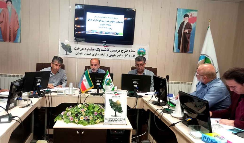 زنجان/ طرح مردمی کاشت یک میلیارد درخت، جهادی پیش می‌رود