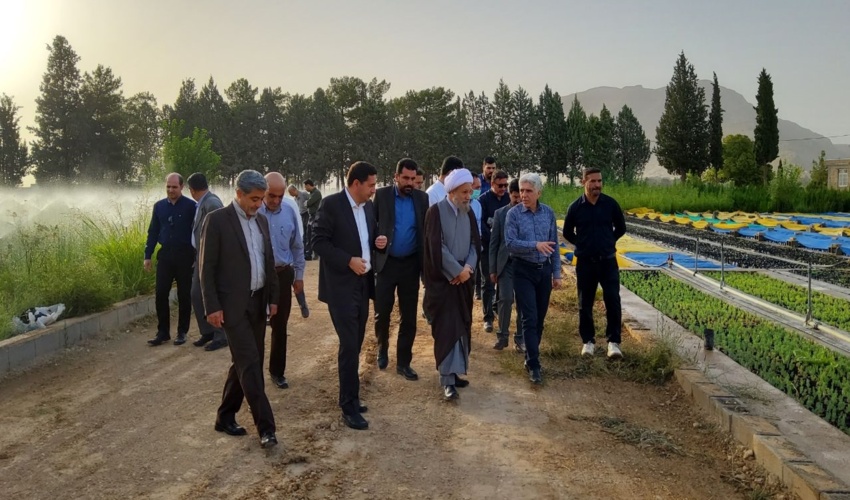 فارس/ قدردانی امام جمعه شیراز از طرح مردمی کاشت یک میلیارد درخت