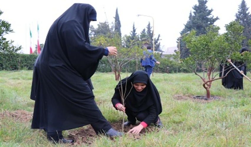 ترمیم طبیعت با کاشت یک میلیارد درخت