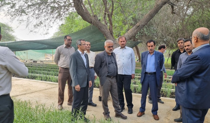 هرمزگان پیشرو در تولید نهال است