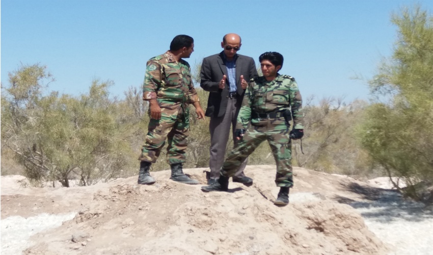 بیش از یک میلیون هکتار از اراضی بیابانی کرمان کانون بحران/ نهالکاری یا مالچ پاشی، کدام بهتر است؟