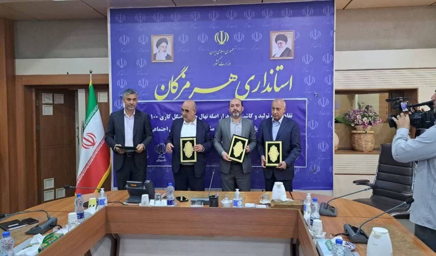 هرمزگان/ تفاهم نامه کاشت ۲۰۰ هزار نهال و ۱۰۰ هکتار جنگل‌کاری منعقد شد