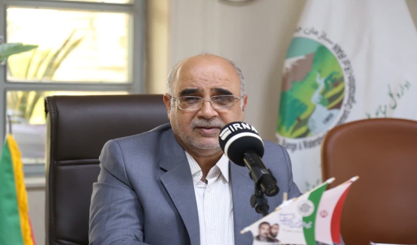 3 میلیون اصله نهال حرا در هرمزگان تولید شد