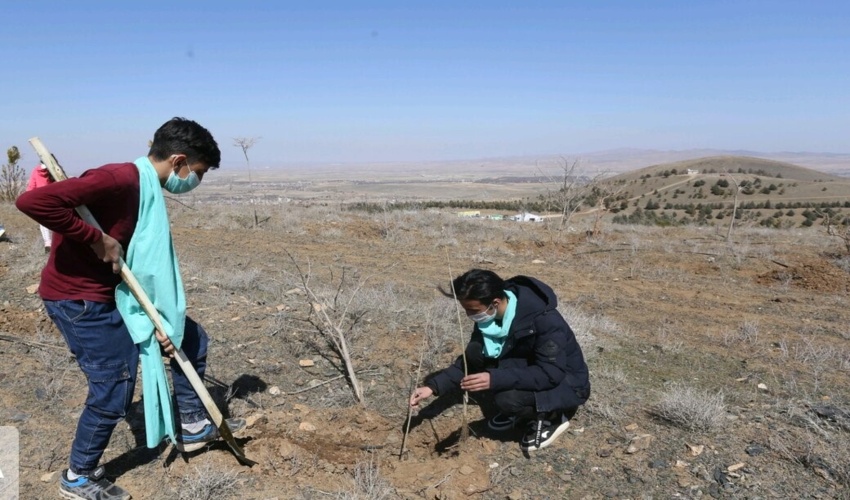یگان ویژه و منابع طبیعی در راه سرسبزی سیستان و بلوچستان /تفاهم‌نامه کاشت یک میلیارد درخت