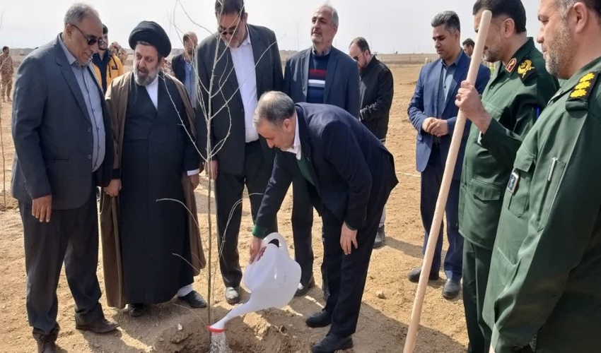 کاشت 5000 نهال همزمان با آغاز طرح ملی کاشت درخت در سمنان