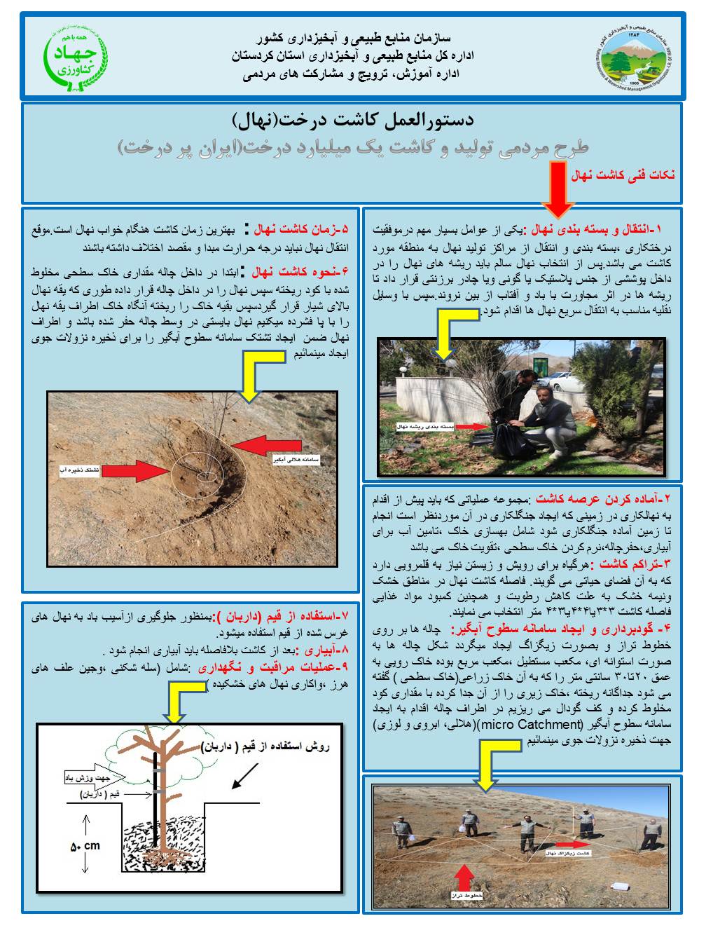 در اینجا تصویر وجود دارد