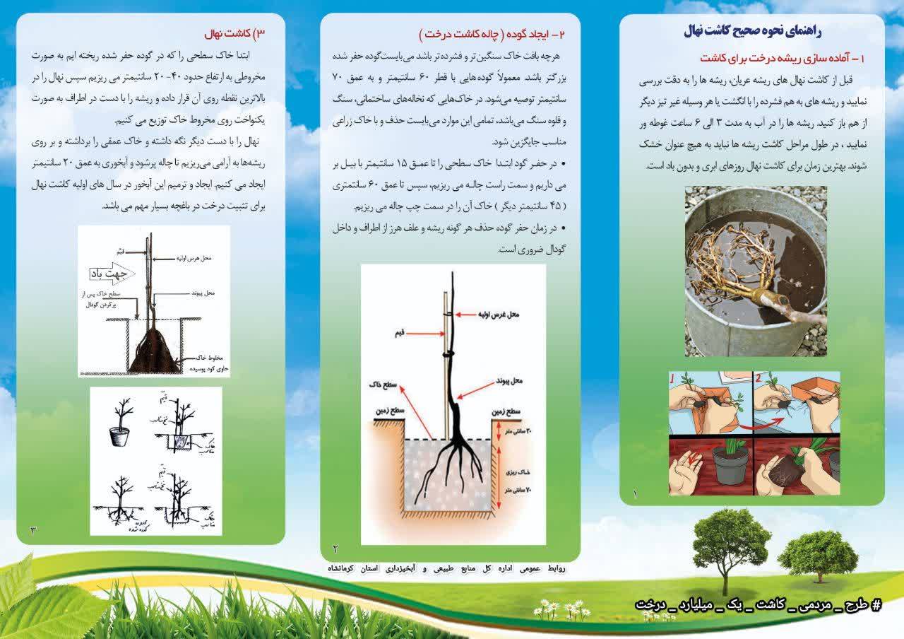 در اینجا تصویر وجود دارد